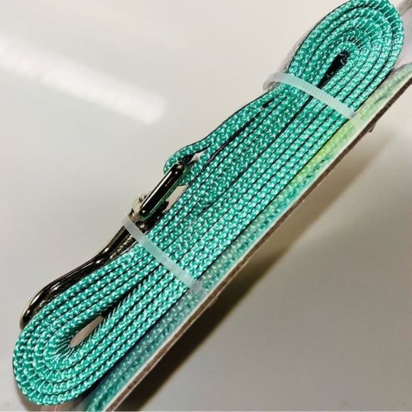 Coco Lane Couture Dog Collar & Leash Set Mint Green w/ Silver Glitter Size Small - Picture 12 of 12
